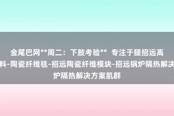 金尾巴网**周二：下肢考验**  专注于腿招远高温隔热材料-陶瓷纤维毯-招远陶瓷纤维模块-招远锅炉隔热解决方案肌群